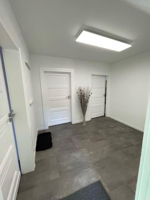 Komfortable Ferienwohnung In Halle-Kroellwitz Halle  ภายนอก รูปภาพ